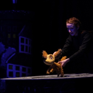 Сказка из собачьей жизни – Волгоградский театр открыл гастроли во Владимире