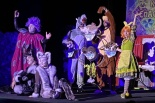 Во Владимире в театре кукол гастролирует «Театр кошек имени Куклачёва»